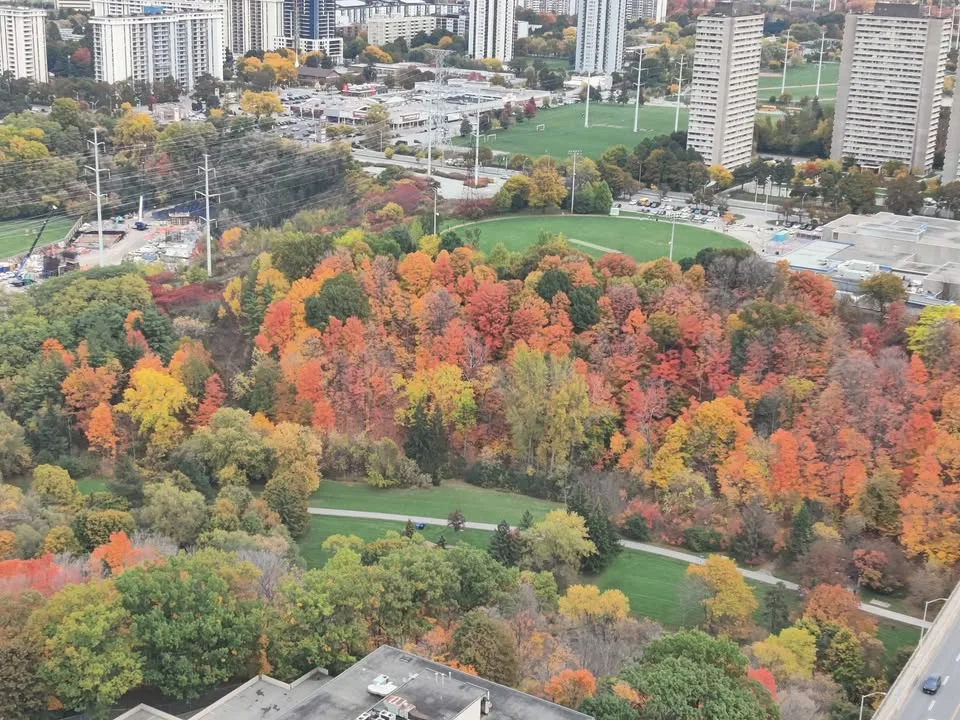 1 bed 1 bathroom – Flat image indicator(9)