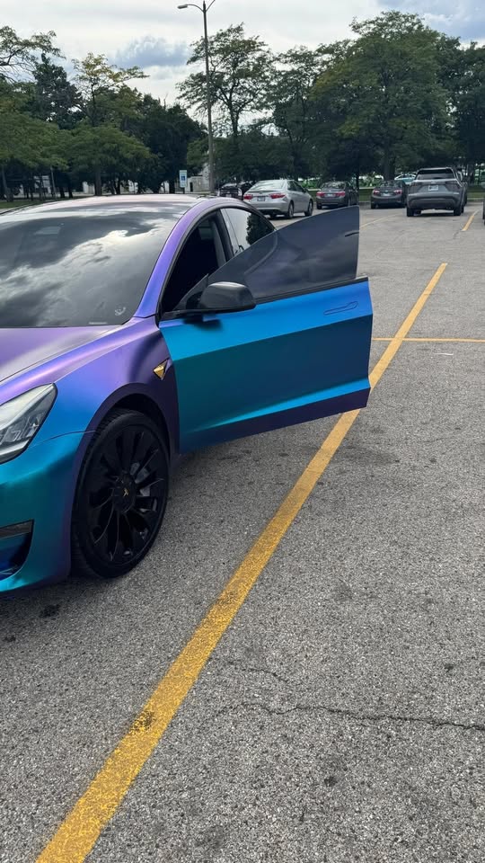 2019 Tesla Model 3 - photo 2