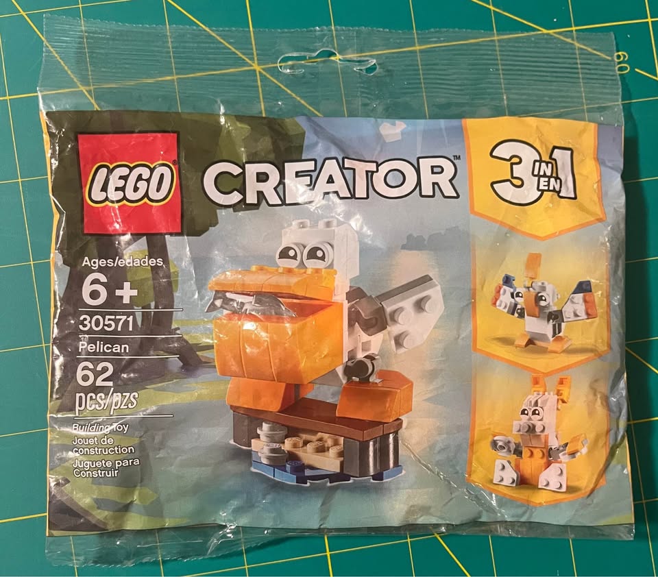 LEGO Creator Polybag Bundle — 30667 + 30571 (NEW) - photo 4
