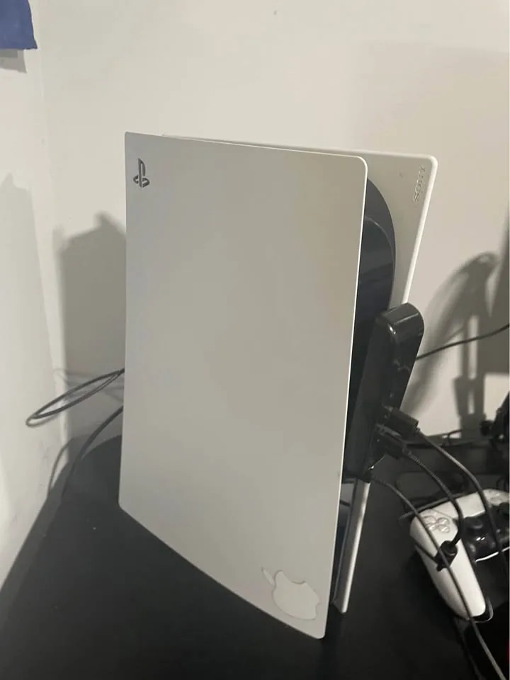 PlayStation 5 image indicator(2)