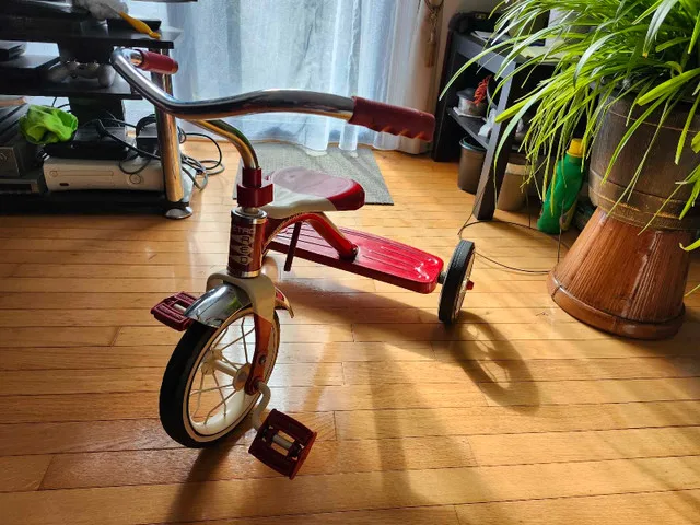 Radio Flyer Tricycle image indicator(6)