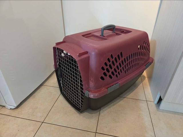Pet Taxi Pet Carrier