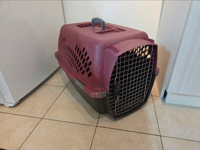 Pet Taxi Pet Carrier - photo 3