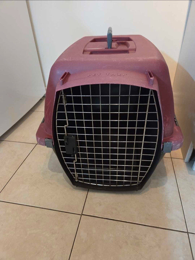 Pet Taxi Pet Carrier - photo 4