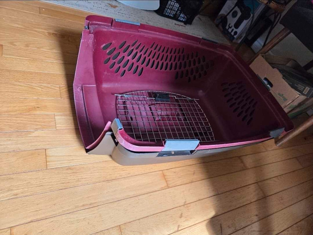 Pet Taxi Pet Carrier - photo 5