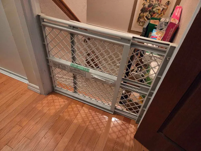 Baby Gate thumbnail