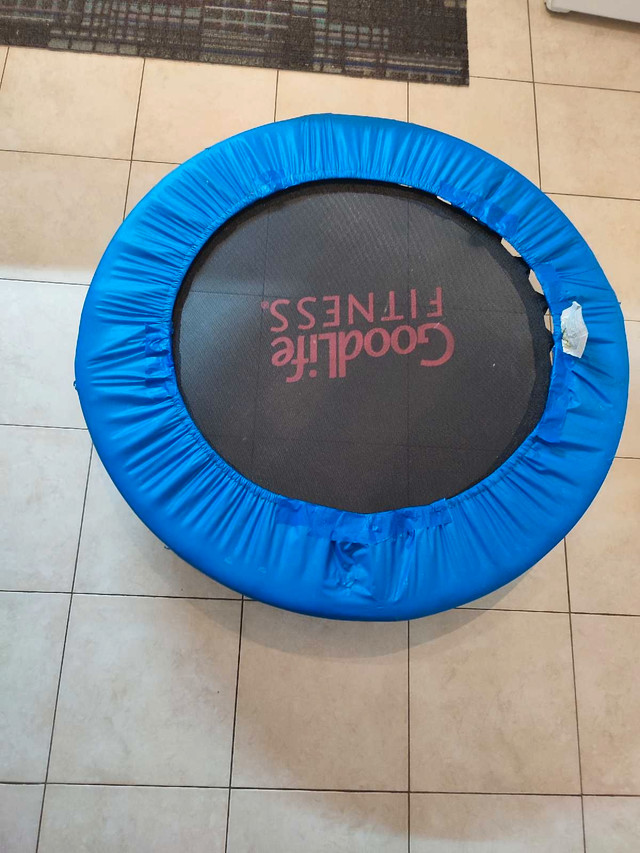GoodLife Fitness Trampoline