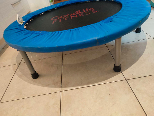 GoodLife Fitness Trampoline - photo 2