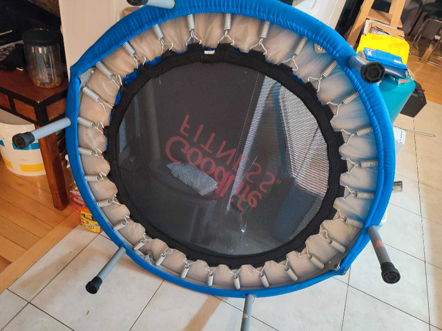 GoodLife Fitness Trampoline - photo 3