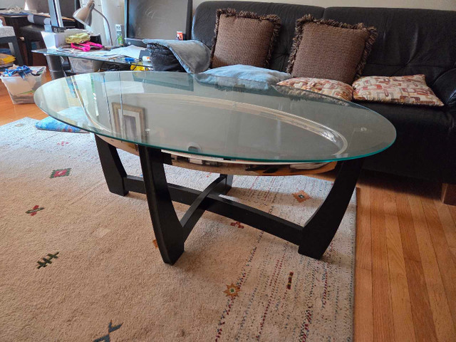 Modern Glass Coffee Table