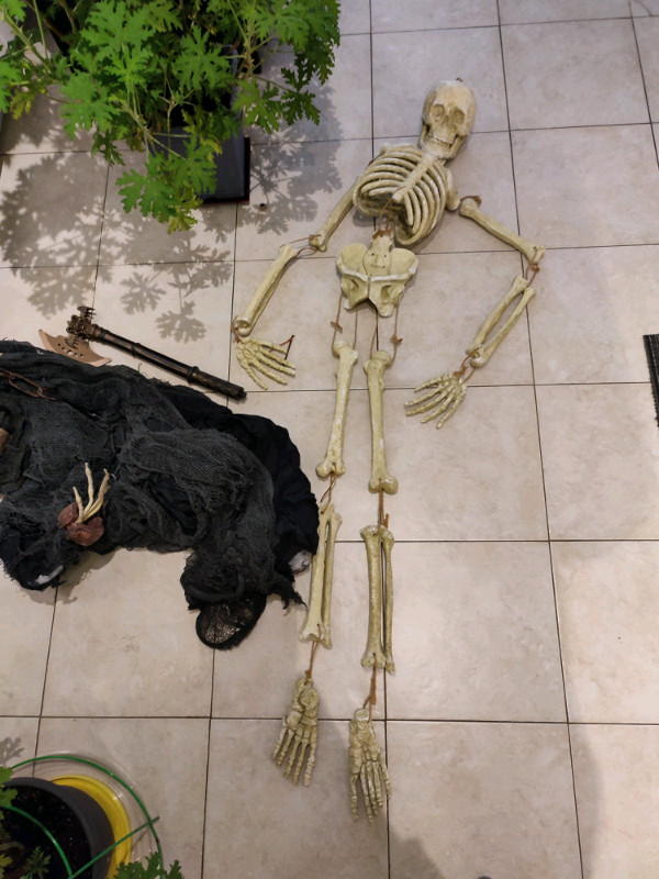 Halloween Decorations