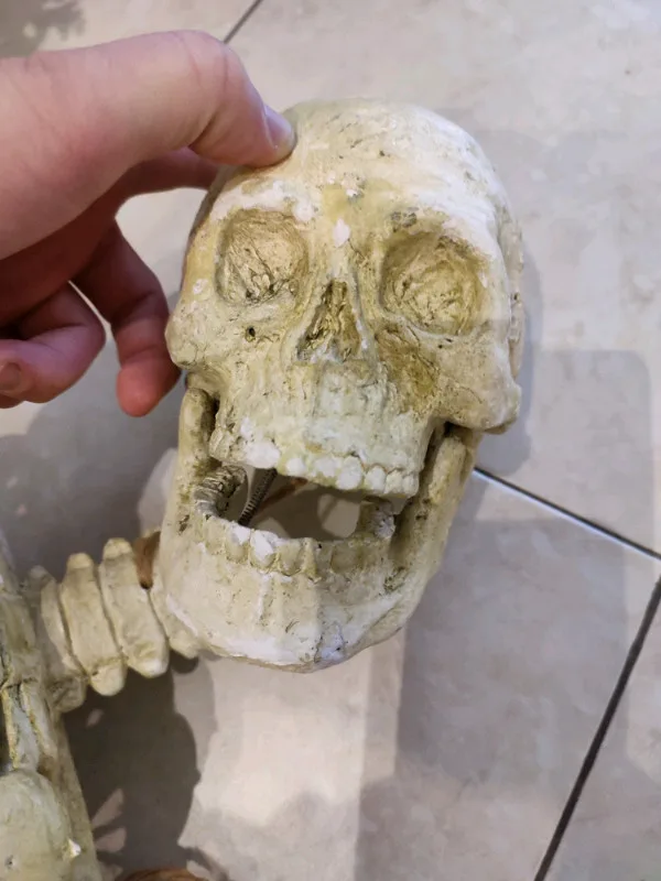 Halloween Decorations image indicator(3)