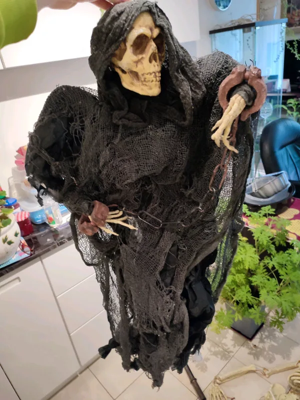 Halloween Decorations image indicator(5)