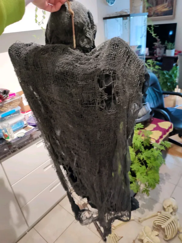 Halloween Decorations image indicator(6)