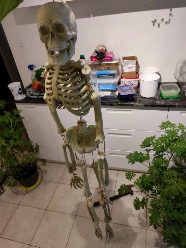 Halloween Decorations image indicator(7)