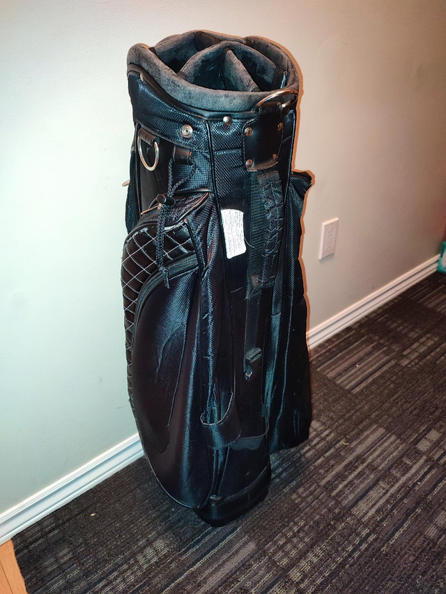 Wilson Hope Lx Golf Cart Bag - photo 3