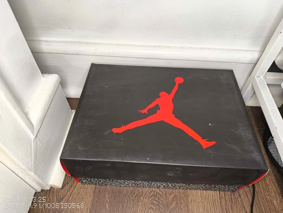 Air Jordan 3 Retro (White/Metallic Copper) - Size 6Y image indicator(7)