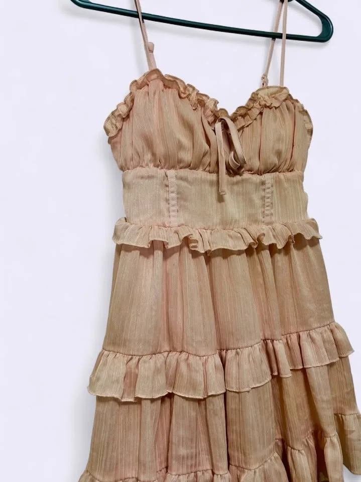 Wild Fable Lana Del Ray Champagne Pink Ruffled Mini Dress image indicator(3)