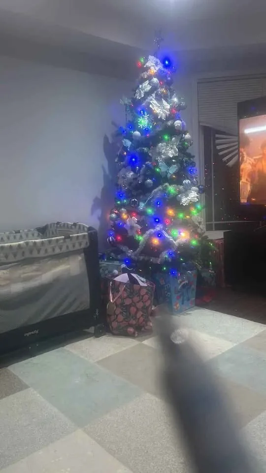 Christmas tree image indicator(2)