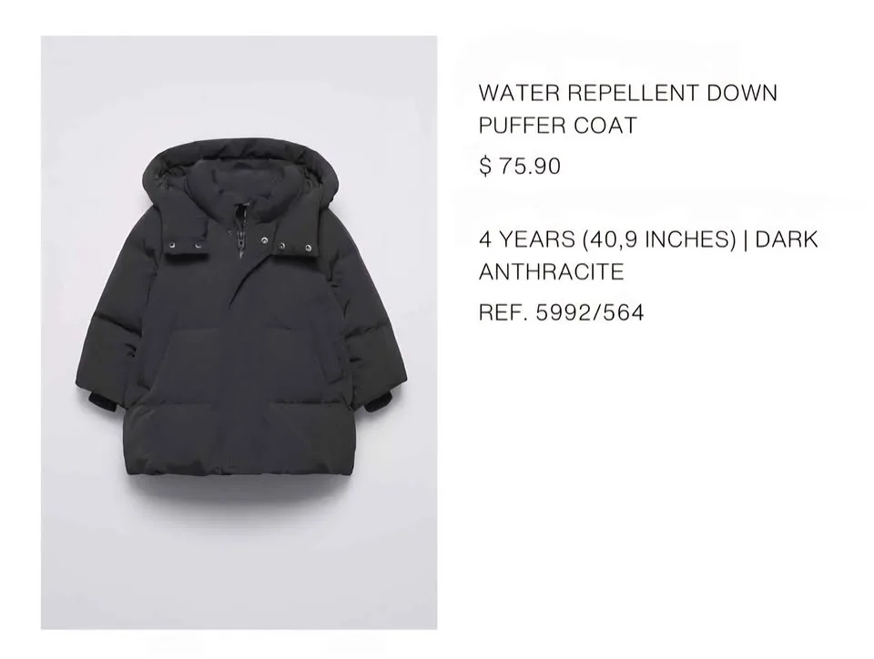 Toddler ZARA Down Puffer Coat SIZE 4 years old image indicator(4)
