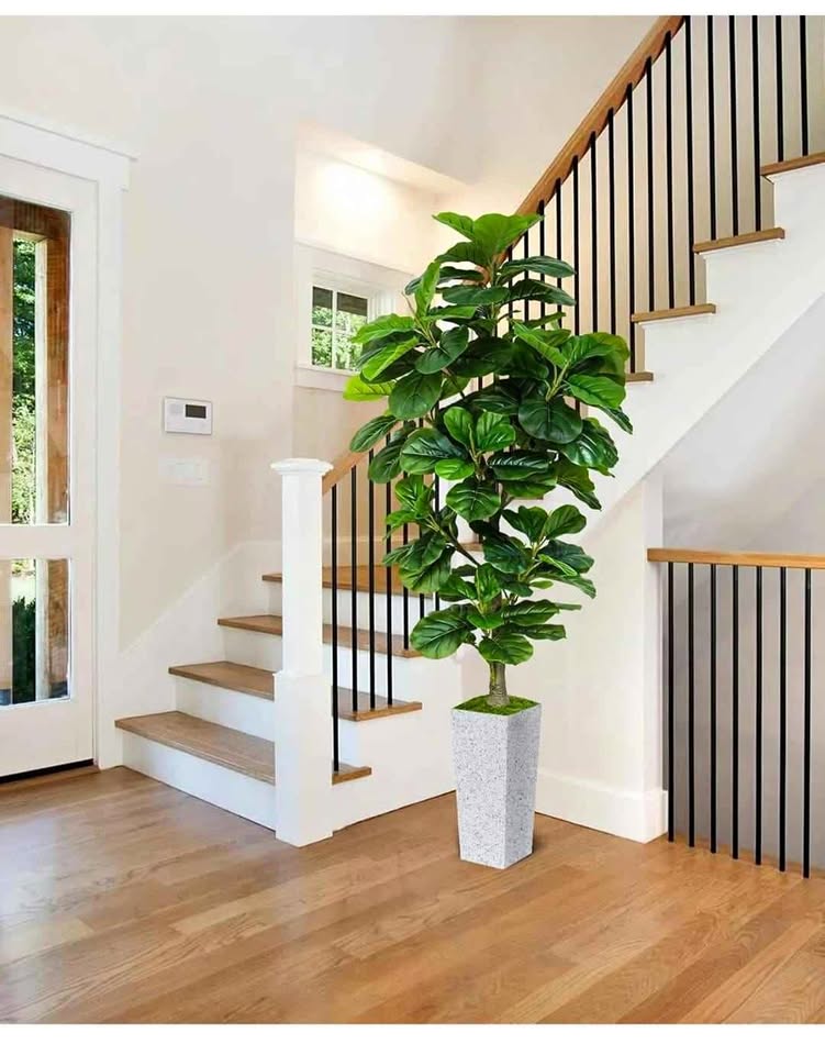 6FT Artificial Fiddle Leaf Fig Tree