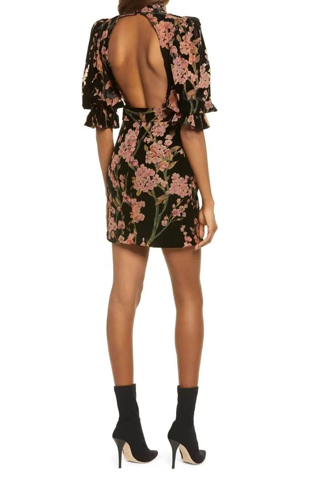 Brand new Lavish Alice black floral velvet dress image indicator(2)