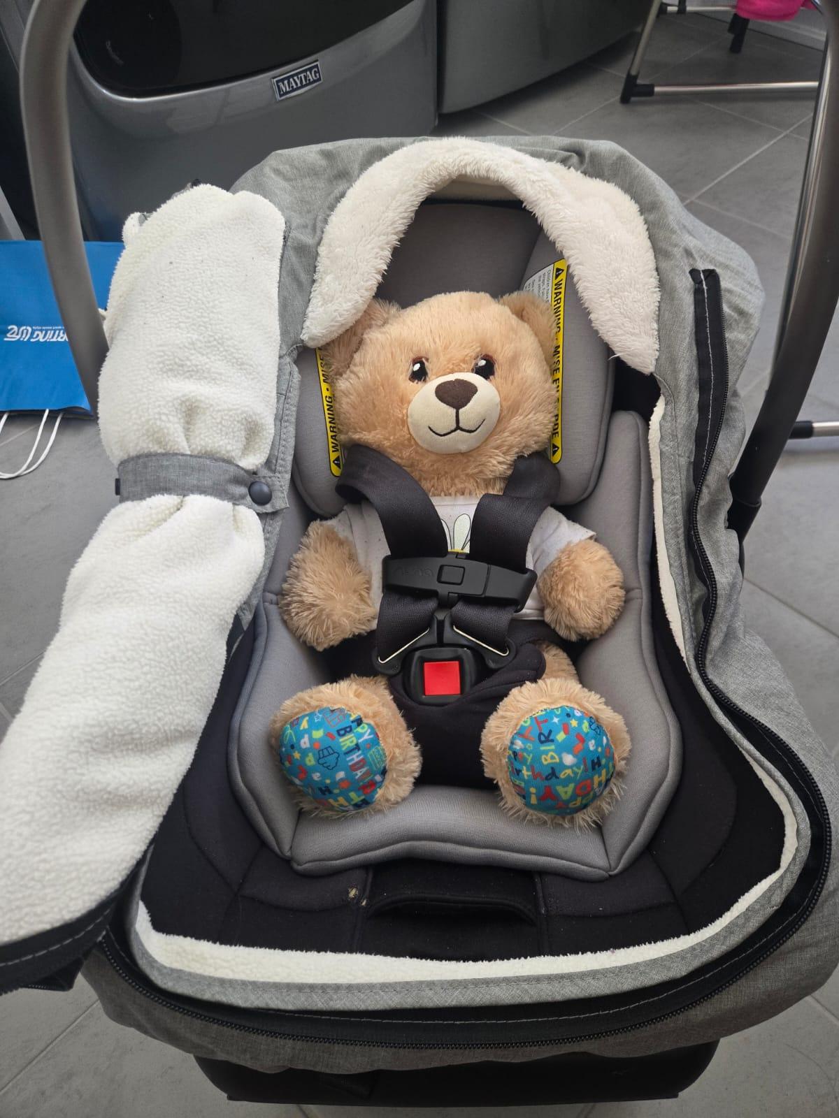 Skip Hop Winter Infant Car Seat Cover - photo 2