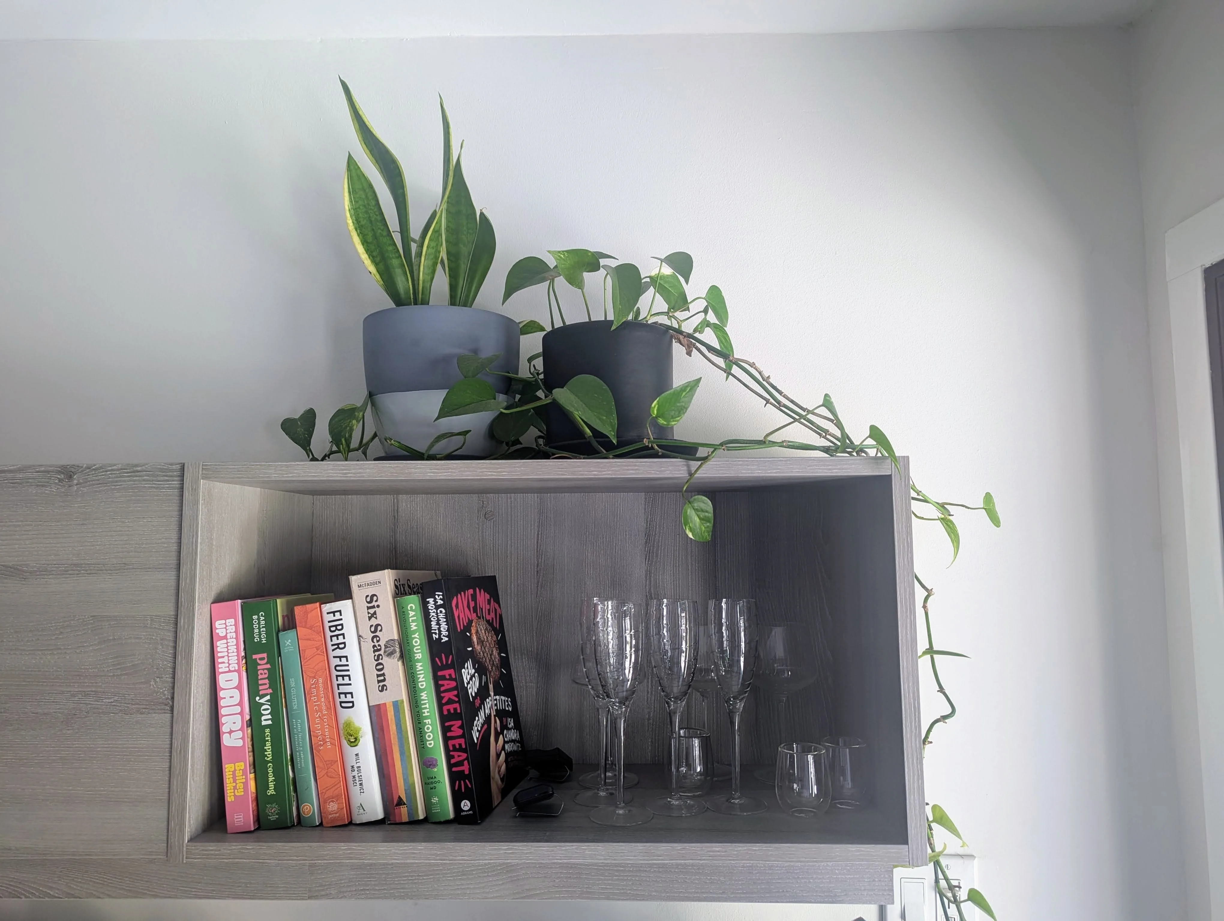 Easy Care Plant Bundle: Snake Plant & Pothos in Ceramic Pots thumbnail