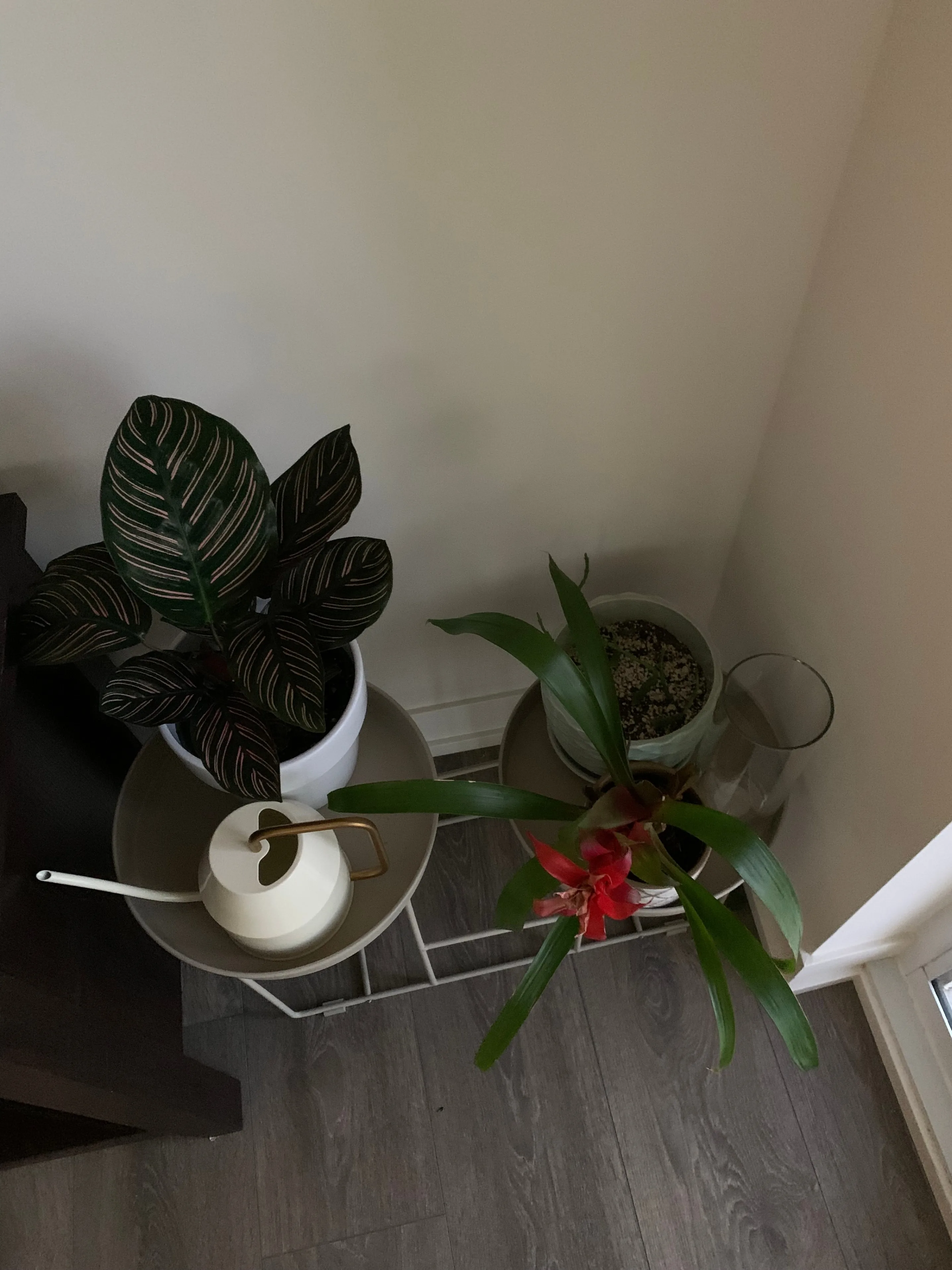 Flower Pot Stand thumbnail