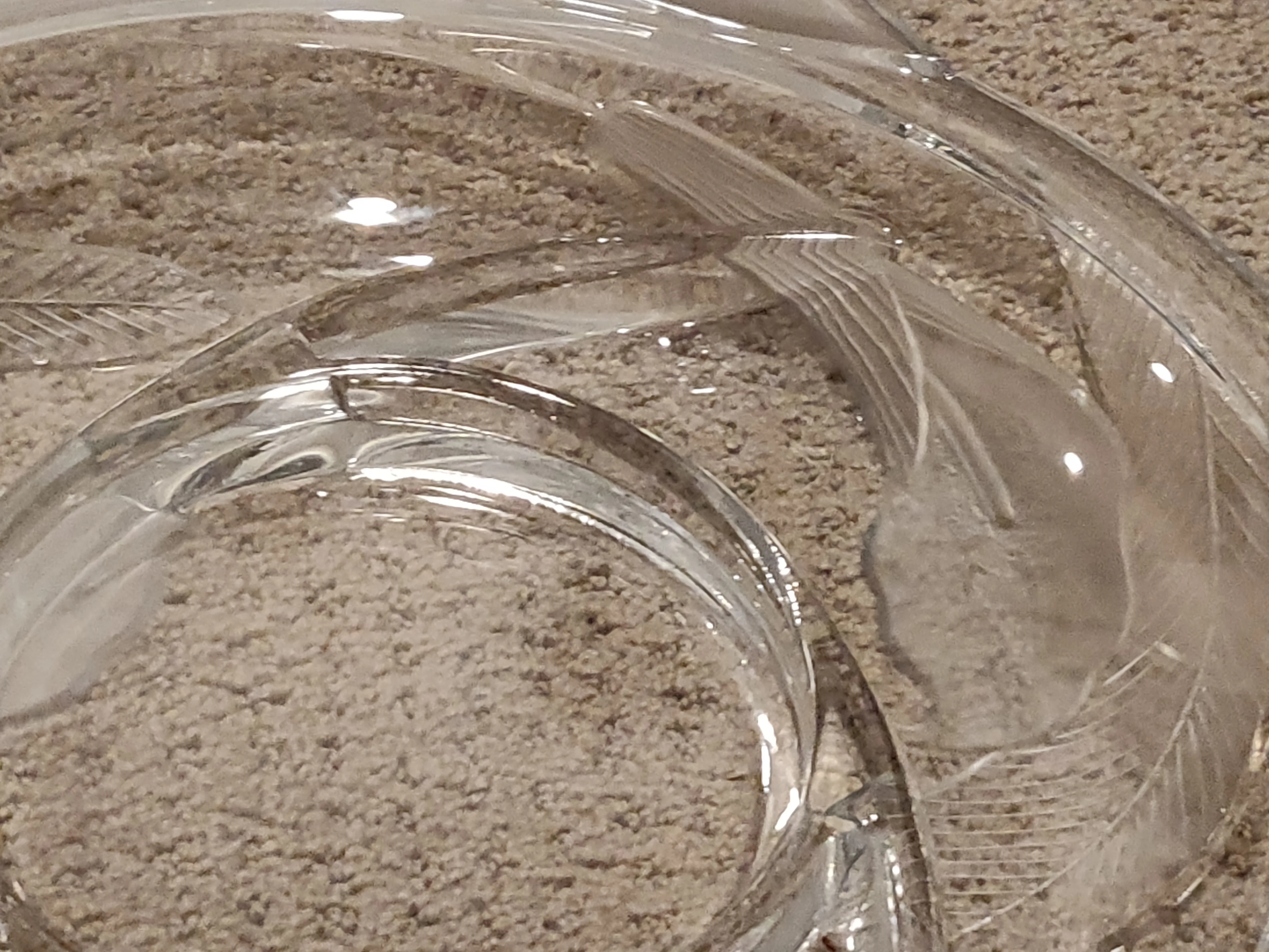 Clear Glass Round 4 Sectional Serving Platter Dish / Tray - 13" image indicator(3)