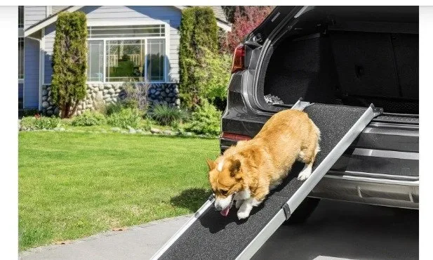 PawHut 72-Inch Portable Folding Dog Ramp thumbnail