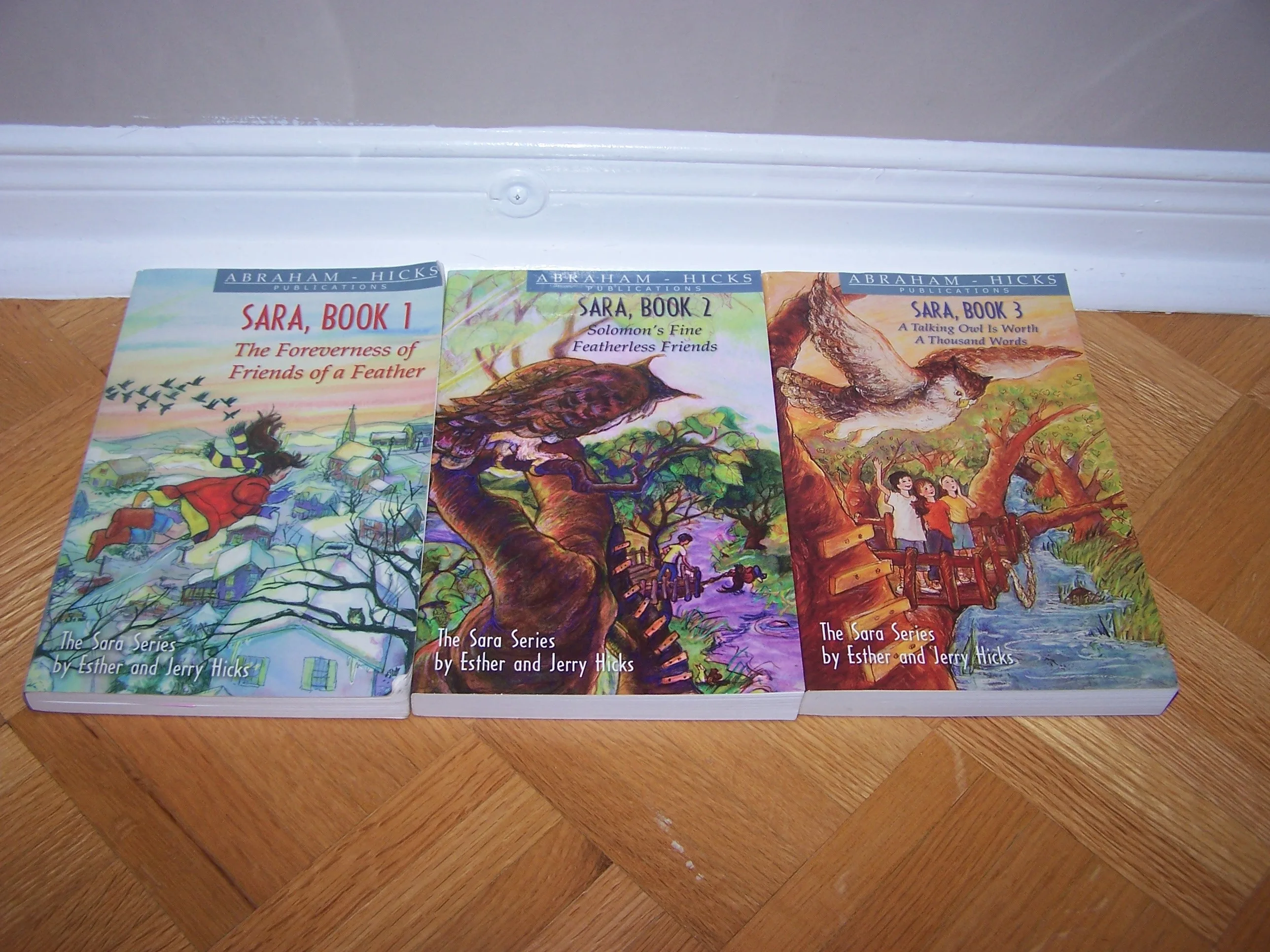Esther and Jerry Hicks- The Sara Series Book 1-3 -softcovers thumbnail