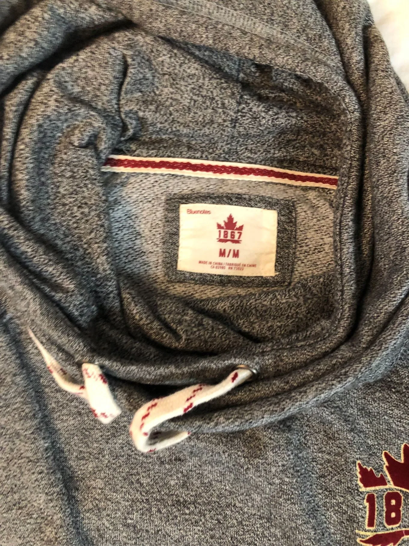 Bluenotes 1867 Hoodie image indicator(2)