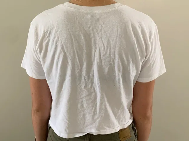 Hollister - Cotton White T-Shirt - Small thumbnail