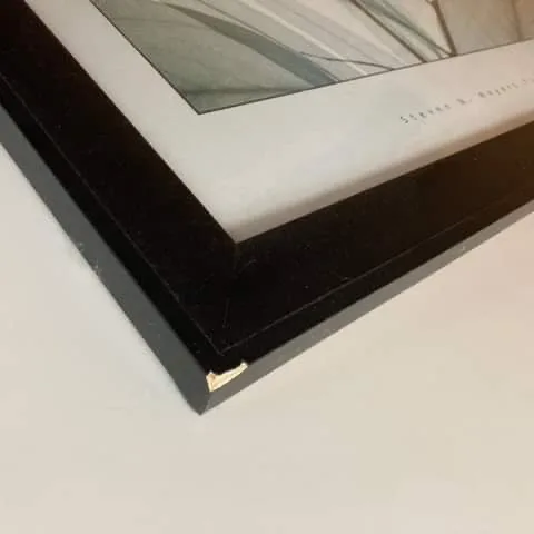 Framed X Ray Flower Photograph image indicator(4)