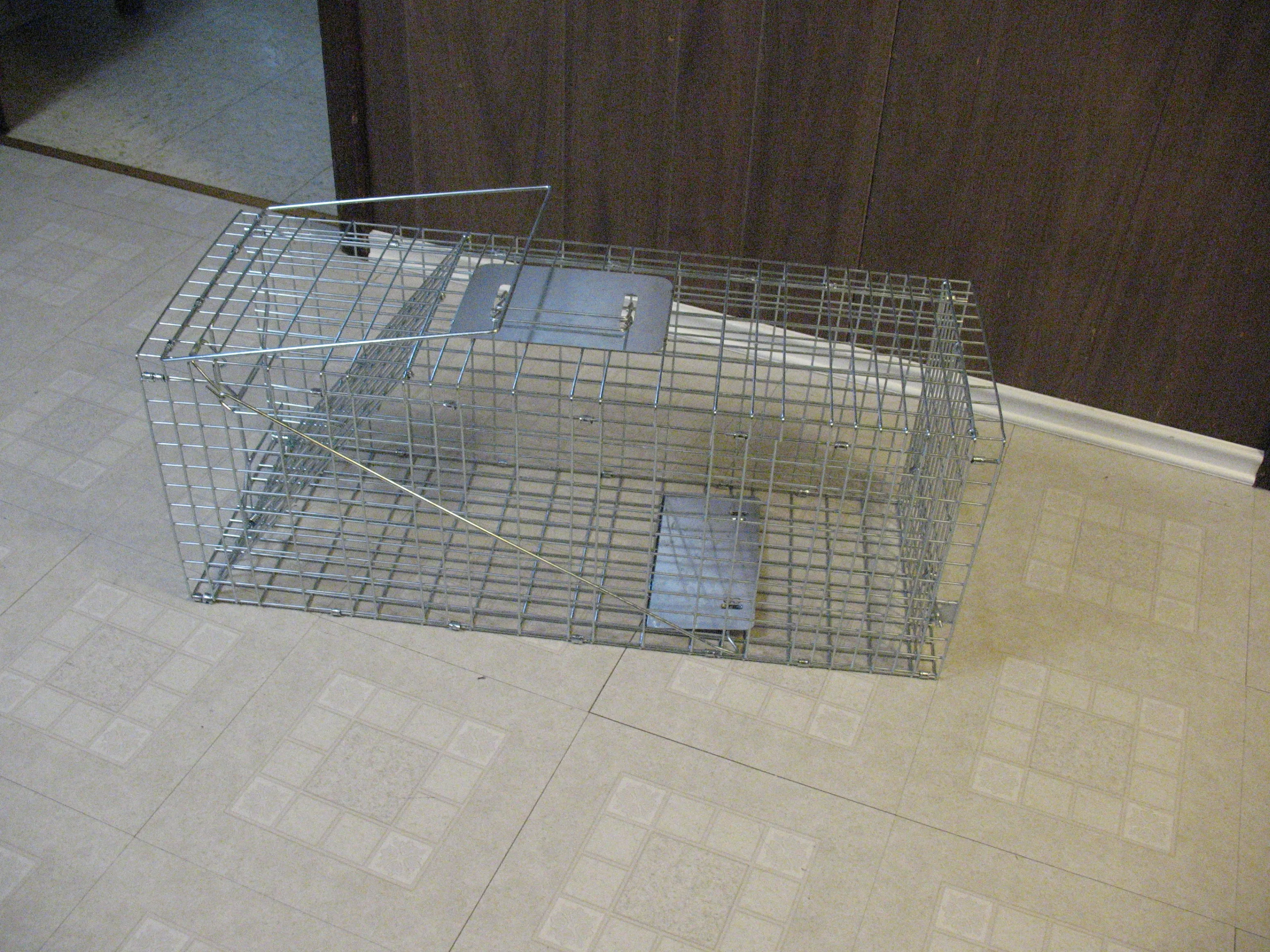 Live Animal Cage Trap, BRAND NEW thumbnail