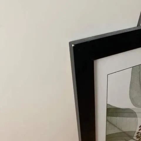 Framed X Ray Flower Photograph image indicator(3)