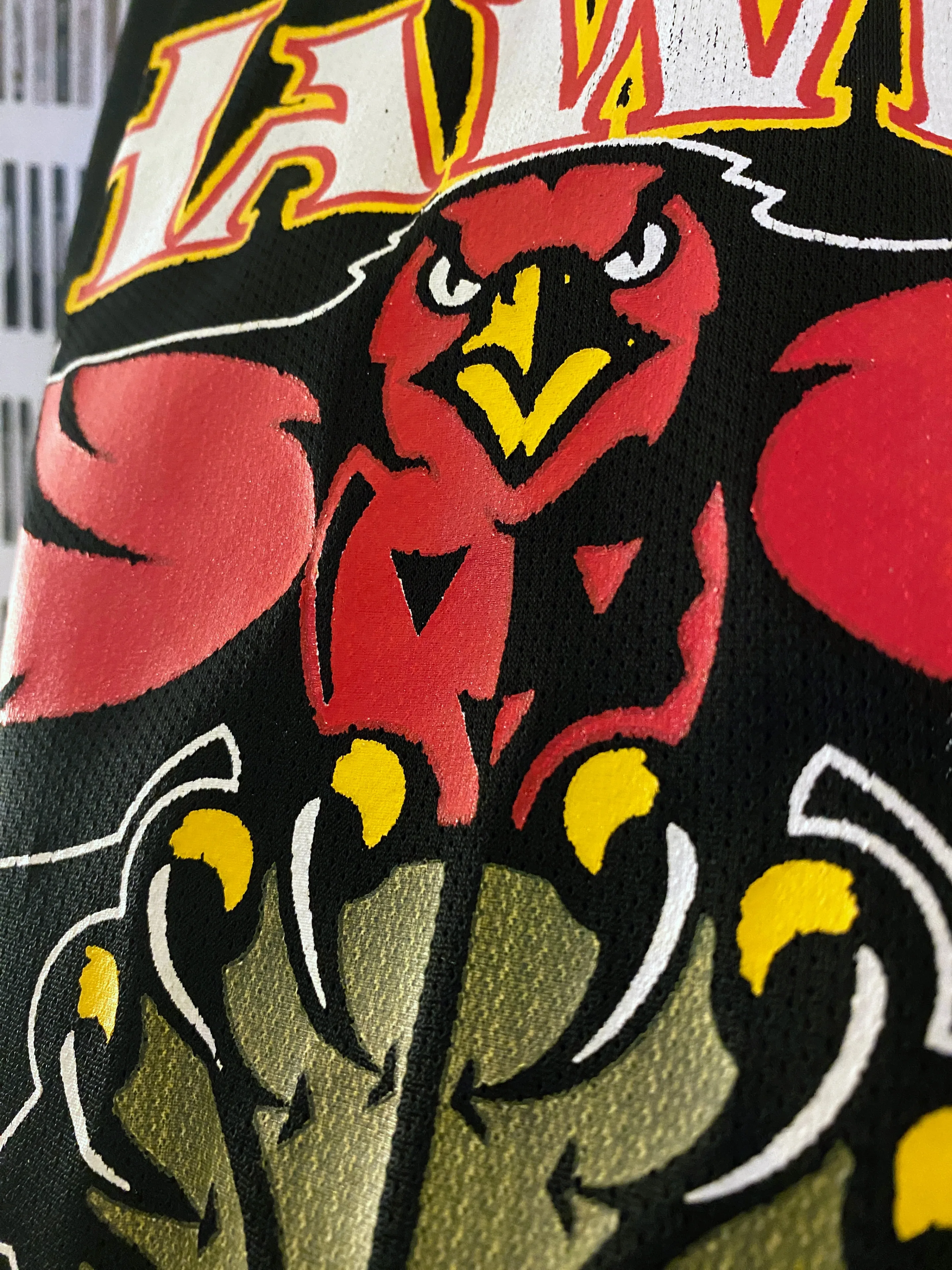 Champion - Atlanta Hawks Dikembe Mutombo vintage jersey (1997) L image indicator(5)