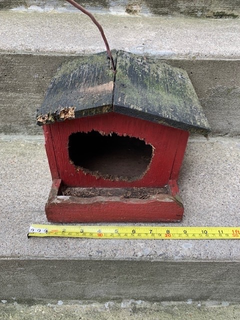 Bird House - Rustic