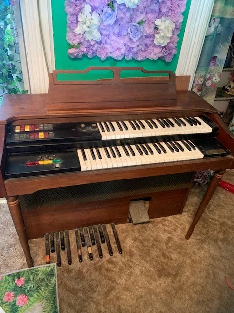 Electric Organ Instrument thumbnail