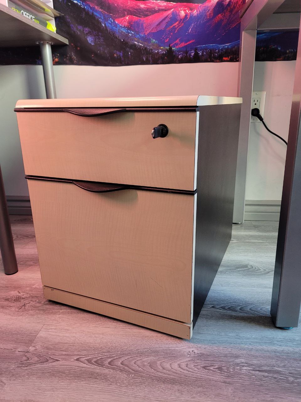 2-Drawer Filing Cabinet / File Drawer / Storage Organizer