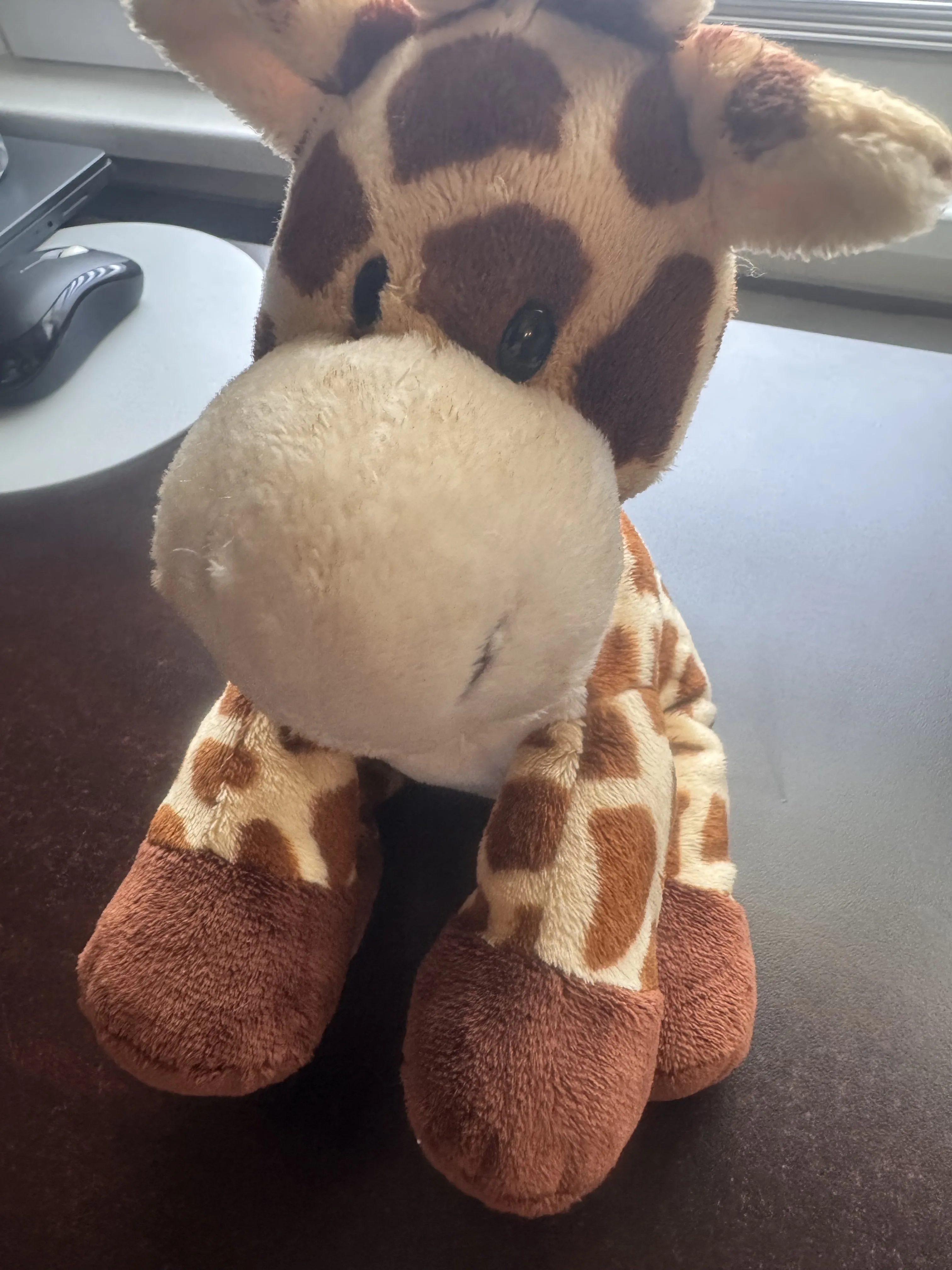 RARE Ty Pluffies – TipTop the Giraffe! thumbnail