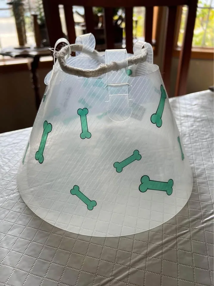 Medium Size Dog Cone (15-20 lbs) thumbnail