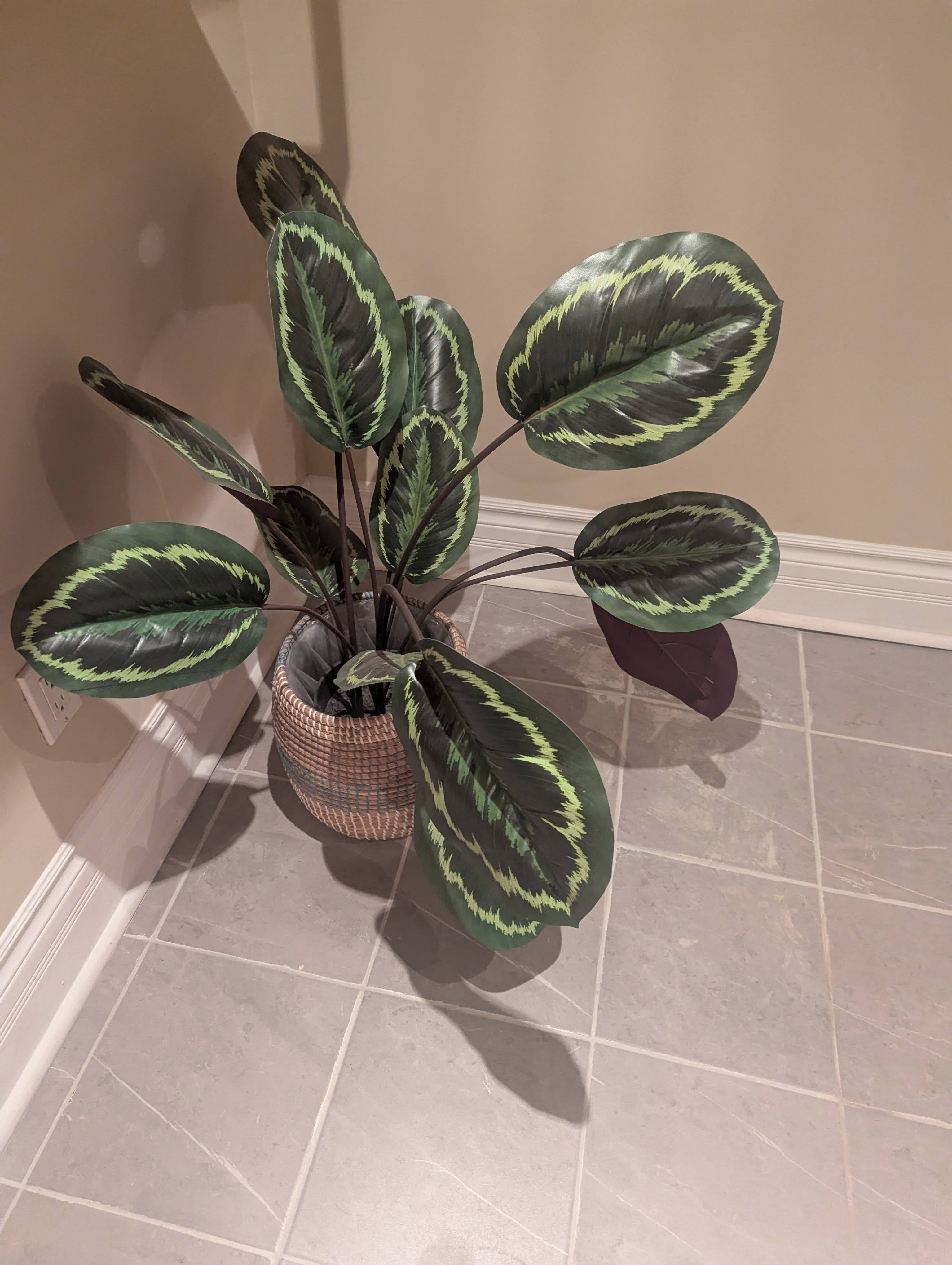 Large Faux Calathea Plant with Woven Basket