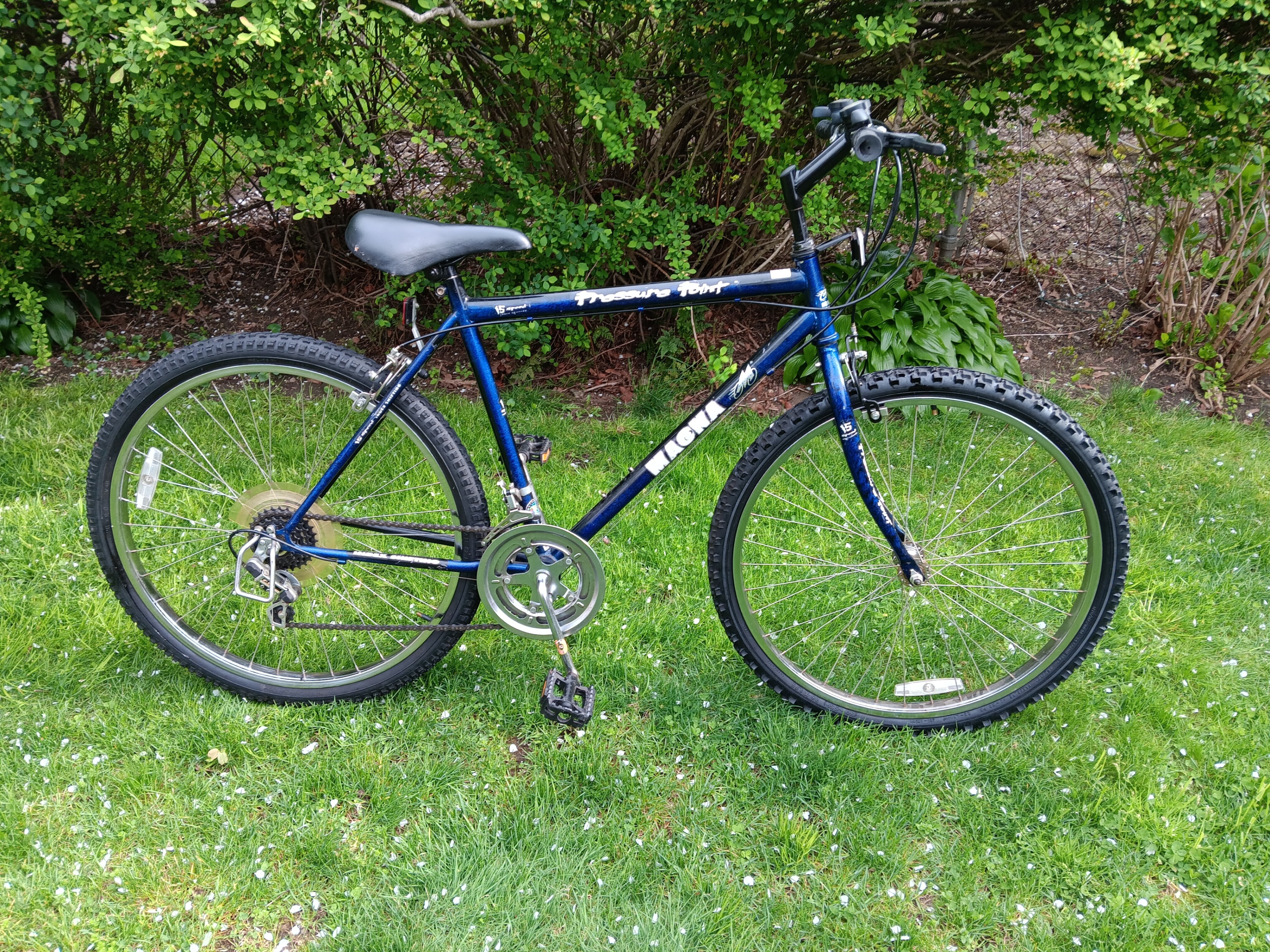 Mountain Bike