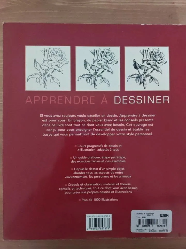 Apprendre à Dessiner – Peter Gray (French) image indicator(2)