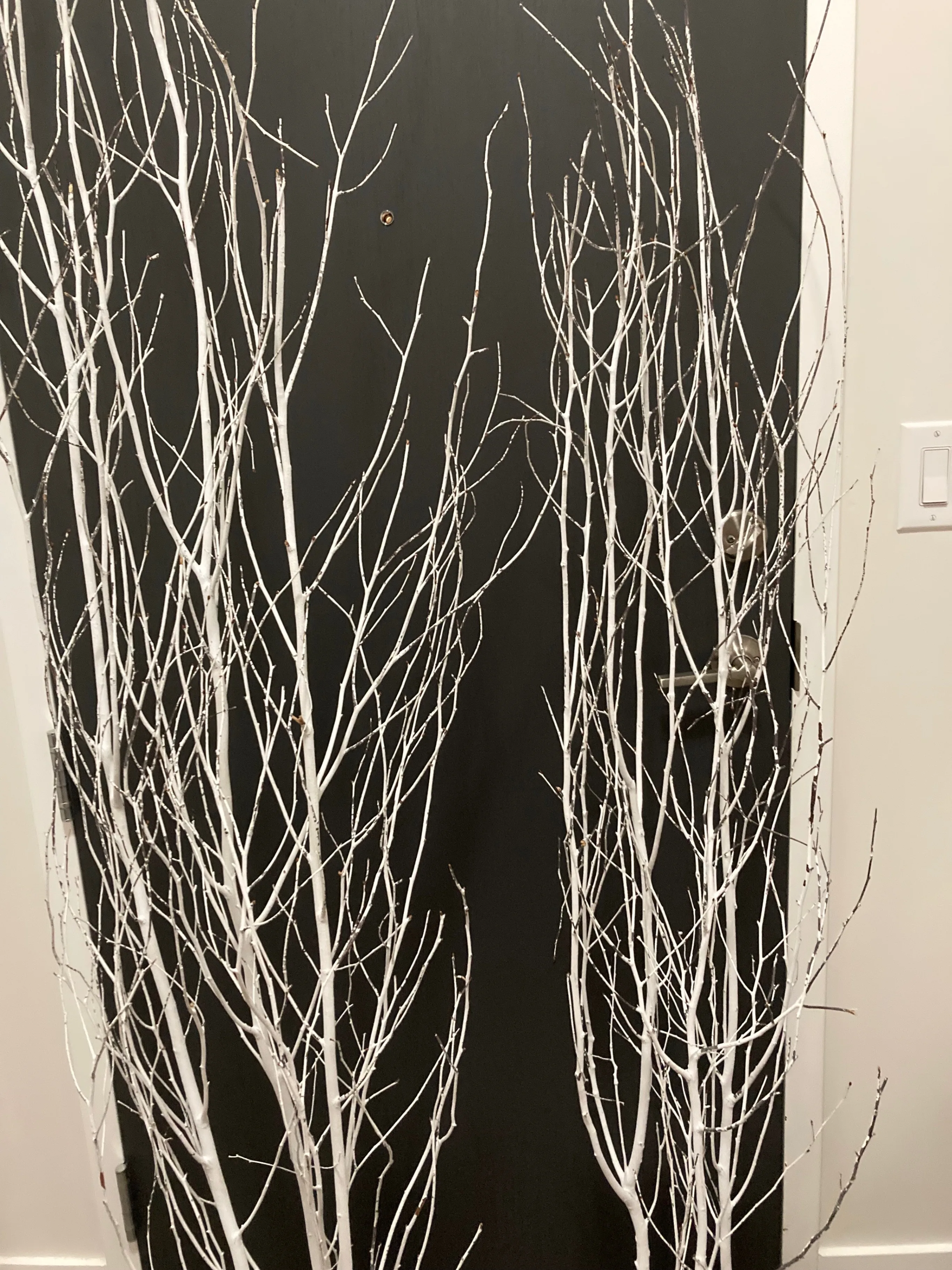 White twig trees thumbnail