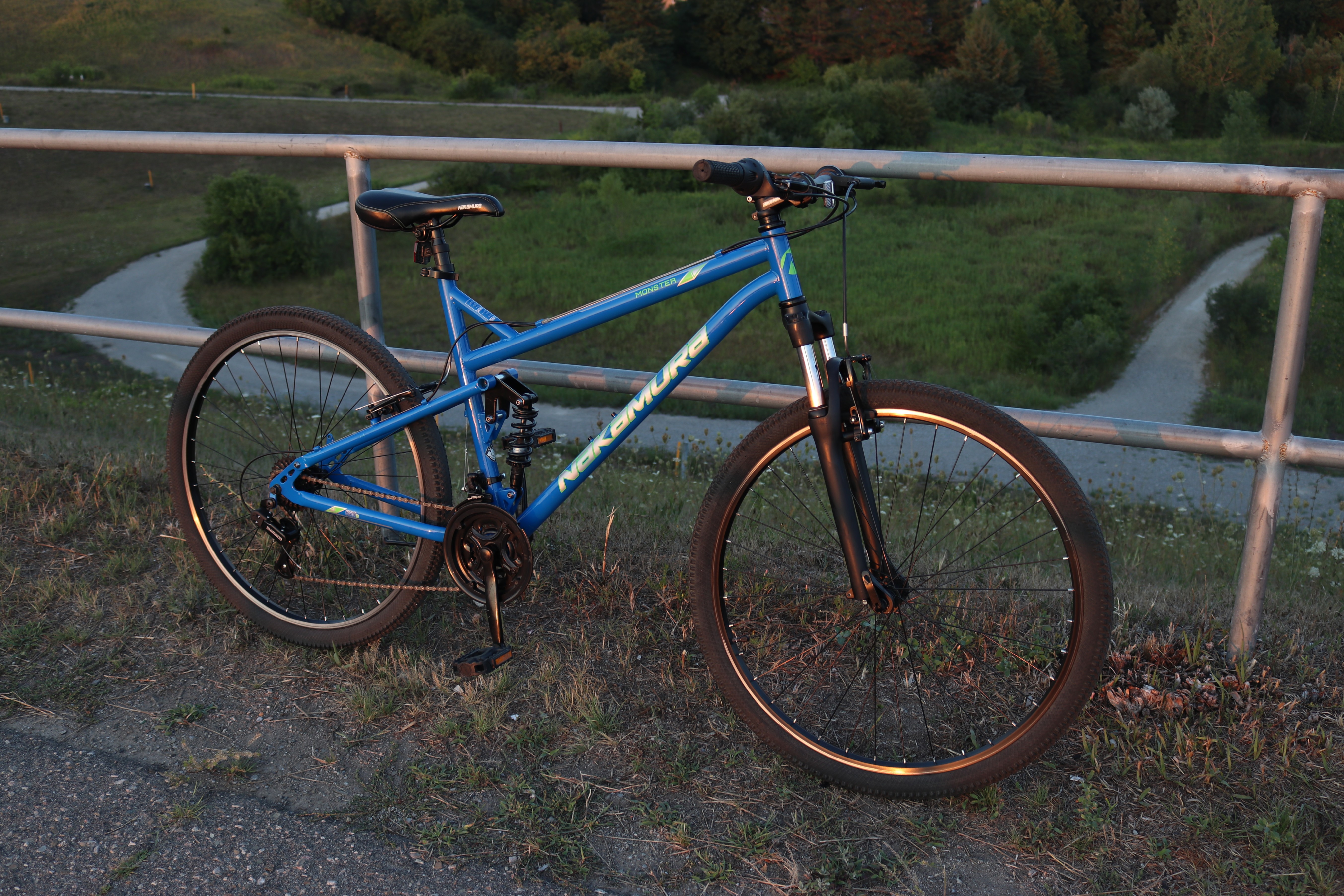 Adult full suspension mountain bike