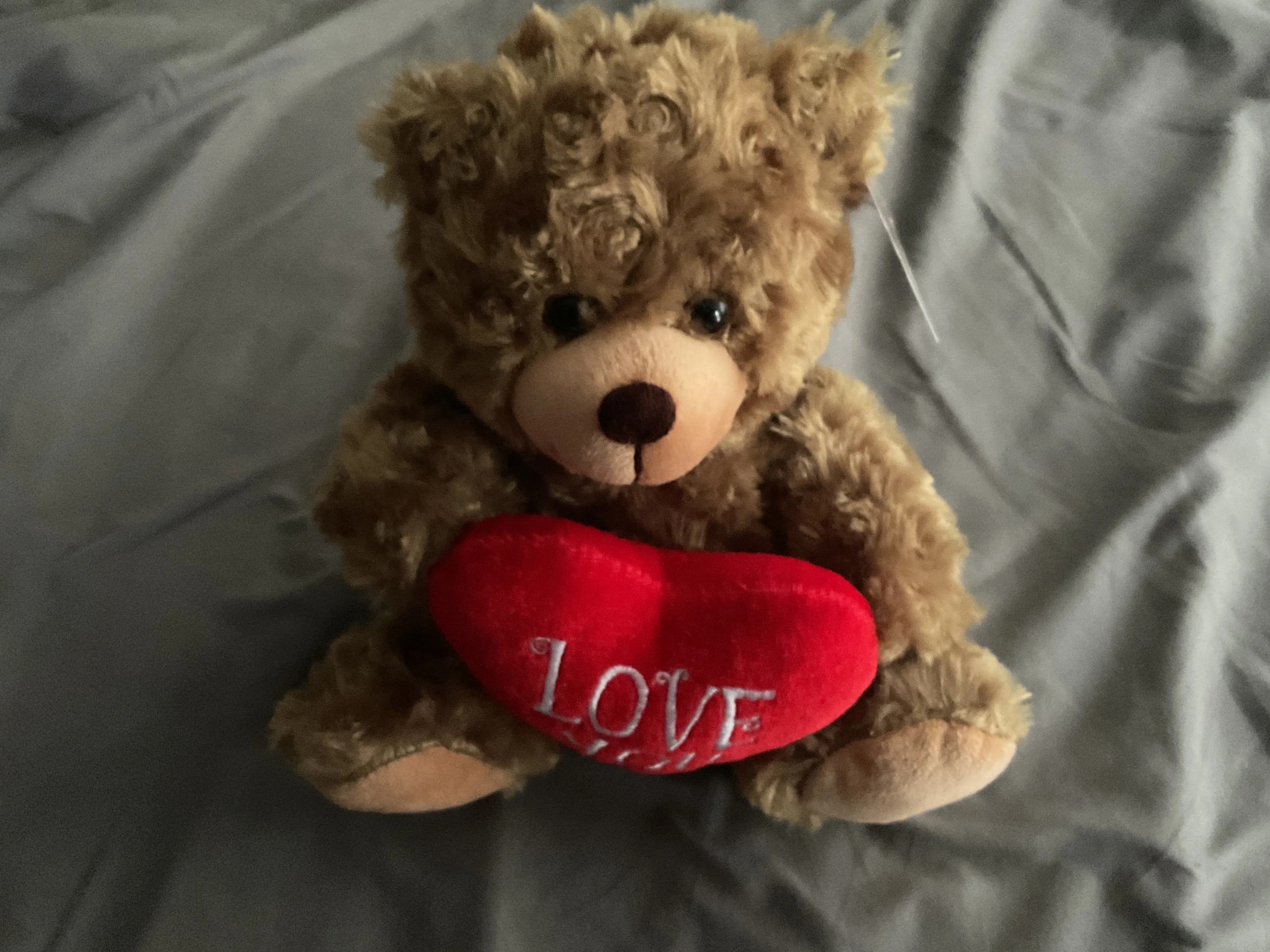 Cozy Medium Brown Teddy Bear with "I Love You" Heart thumbnail