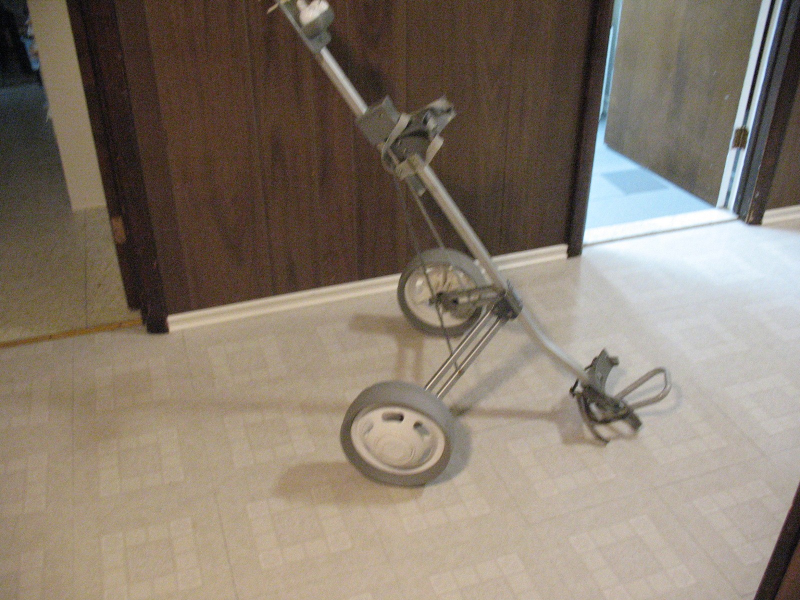 Two Wheel Push Golf Cart